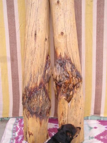 burlmantles.jpg