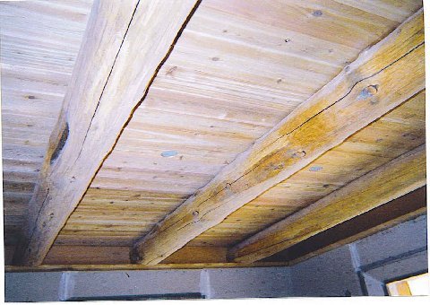 _logfloorjoist.jpg