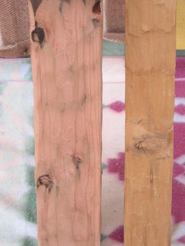 handhewnpoles.jpg